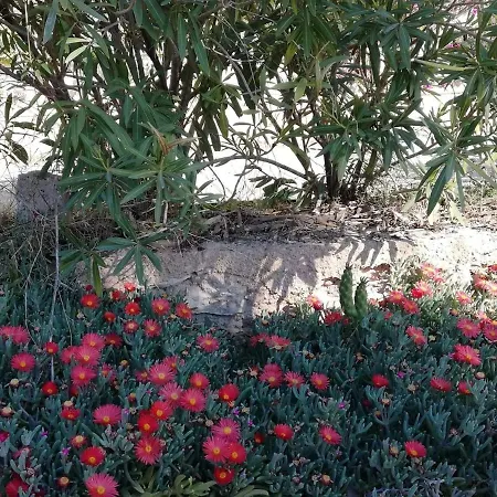 Apartment Perfect For Exploring Local Areas And Torrevieja